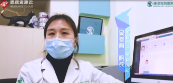 了不起的寵物<em>醫(yī)生</em>吳冬梅：因為熱愛，所以堅守