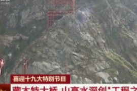 藏木特大橋，山高水深創(chuàng)“工<em>程之</em>最”