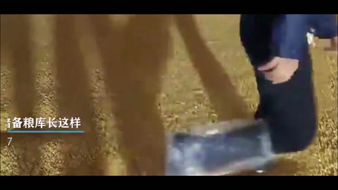 探秘“大國糧倉”！原來中央儲備糧庫長這樣