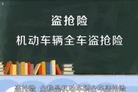 機(jī)動(dòng)車輛全車盜搶險(xiǎn)
