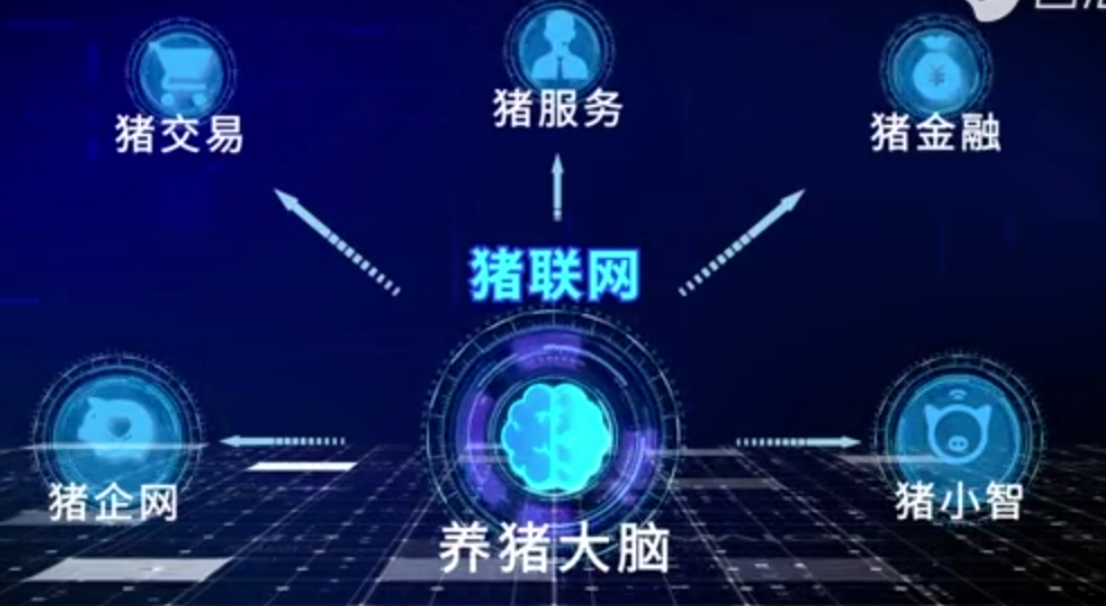 農(nóng)信互聯(lián)豬聯(lián)網(wǎng) 開創(chuàng)數(shù)字化時代的智慧養(yǎng)豬新模式