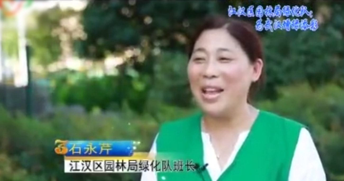 漢江區(qū)園林局綠化隊(duì)：為武漢<em>增</em><em>綠</em>添彩