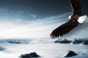 工程質量<em>安全</em><em>第一</em>