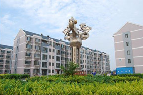 社會(huì)綜治型模式——天津市西青區(qū)大寺王村鎮(zhèn)