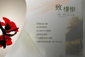 《致橡樹(shù)》：舒婷創(chuàng)作的當(dāng)代詩(shī)歌