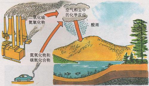 酸雨<em>的</em><em>形成</em>及<em>危害</em>