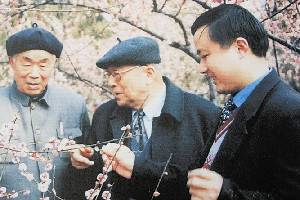 優秀人物——中國園林界的泰斗、“<em>梅花</em><em>院士</em>”<em>陳</em><em>俊</em><em>愉</em>先生