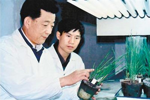 小麥銹病<em>專(zhuān)家</em>—<em>李</em>振岐