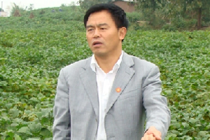 楊文鈺教授——率領團隊研發(fā)的玉米、大豆間作新農(nóng)藝被寫進了2020年中央1號文件