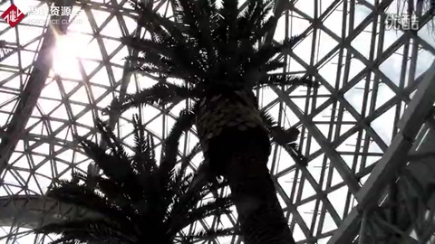 青島世博園景區的植物館