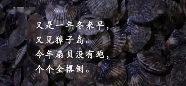 <em>項(xiàng)目</em><em>四</em><em>存貨</em>----<em>存貨</em><em>期末</em><em>計(jì)量</em>（<em>獐子</em><em>島</em><em>違規(guī)</em><em>案例</em>，<em>合法經(jīng)營(yíng)</em><em>重要性</em>）-<em>圖片</em>4