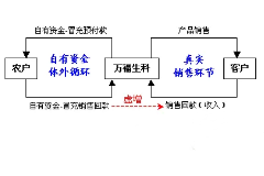 <em>萬</em>福生科“造假門”事件回顧