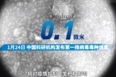 授課<em>視頻</em>：刻度上的中國(guó)<em>戰(zhàn)</em><em>疫</em>