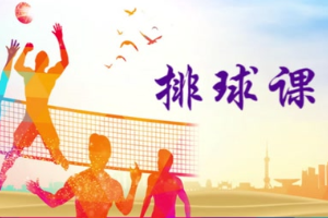<em>微</em><em>課</em>：<em>體育</em><em>教育</em><em>專(zhuān)業(yè)</em>《排球初級(jí)》