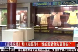 《延禧攻略》和《如懿傳》播出后，有人研究起了劇中的服裝色彩
