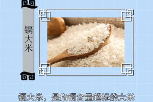 鎘大米—鎘含量<em>超標</em>的大米