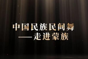 微課：早期教育、學前教育專業(yè)《舞蹈基礎(chǔ)—走進蒙族民間舞之柔臂》