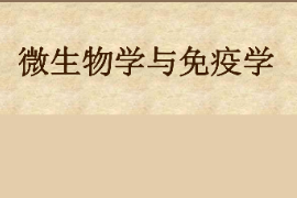 課件：園林、中草藥栽培與鑒定、環(huán)境生態(tài)工程，食品質(zhì)量與安全，生物制藥、生物技術(shù)、健康服務(wù)與管理專業(yè)《微生物學(xué)—微生物學(xué)與免疫學(xué)—緒論》