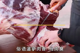 俗語道“驢肉香，馬肉臭，餓死不吃<em>騾子</em>肉”，為什么不吃<em>騾</em>肉呢？