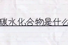 碳水化合物是什么？