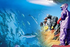 船舶與海洋<em>工程</em><em>專業</em>：《<em>水聲學</em>原理—基陣指向性》<em>課程</em><em>思</em><em>政</em><em>案例</em>
