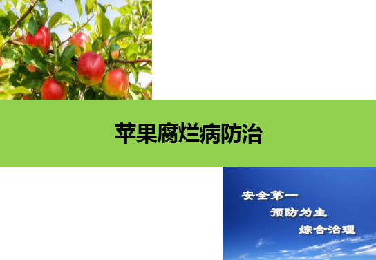 微課：園藝技術(shù)專業(yè)《果樹生產(chǎn)創(chuàng)新模塊—蘋果腐爛病防治》