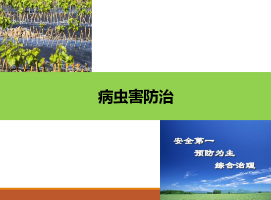 <em>園藝</em>技術<em>專業(yè)</em>：《<em>果樹</em><em>生產</em>創(chuàng)新模塊—病蟲害防治》<em>課程</em><em>思</em>政<em>案例</em>