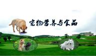 <em>寵物</em>養(yǎng)護(hù)與馴導(dǎo)專業(yè)：《<em>寵物</em>營(yíng)養(yǎng)與食品》<em>課程</em><em>思</em><em>政</em><em>課堂教學(xué)</em><em>設(shè)計(jì)</em>