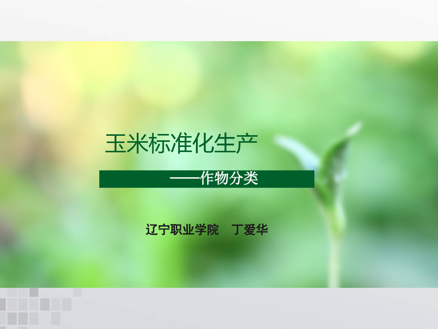 課件：作物生產與經營管理專業(yè)《玉米標準化生產—作物分類》