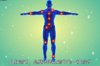 自身調節—<em>基因</em><em>表達</em>調節形式