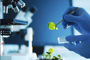 基礎醫學、臨床醫學，藥學，預防醫學、法醫學專業：《有機化學—切問近思，采掘生動案例實現價值引領》課程思政案例