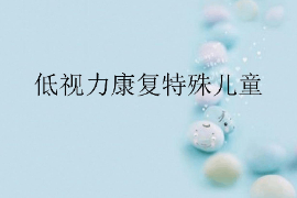 <em>課件</em>：<em>特殊教育</em><em>專業(yè)</em>《<em>特殊</em><em>兒童</em><em>康復</em>學—低視力<em>康復</em><em>特殊</em><em>兒童</em>》
