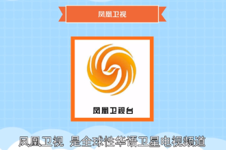 鳳凰衛(wèi)視—<em>全球</em>性華語(yǔ)衛(wèi)星電視頻道