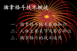 <em>課件</em>：<em>警犬</em><em>技術</em><em>專業</em>《擒拿格斗—<em>概述</em>》