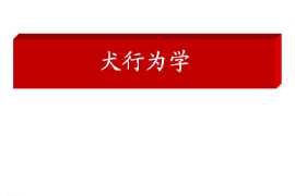 <em>課件</em>：<em>警犬</em><em>技術</em><em>專業</em>《犬行為<em>學</em>》