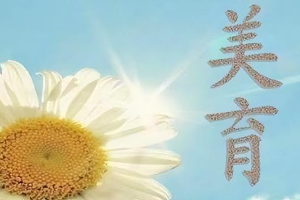 <em>課程標(biāo)準(zhǔn)</em>：<em>通</em><em>識(shí)</em><em>課</em>《<em>大學(xué)</em>美育》<em>課程標(biāo)準(zhǔn)</em>